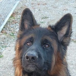 Meet your Posher, Tia